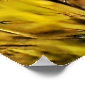 アフリカ産サバンナ・セルバル猫の斑点 ポスター (角)