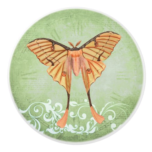 アフリカ産シルク蛾 セラミックノブ (正面)