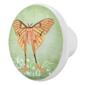 アフリカ産シルク蛾 セラミックノブ (右)