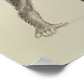 アフリカ産ドリオピテカス ポスター (角)