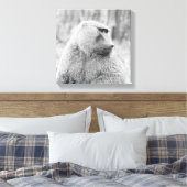 アフリカ産ヒヒ キャンバスプリント (インサイチュ (寝室))