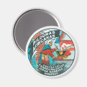 アフリカ産ピルドラ マグネット (正面/裏面)