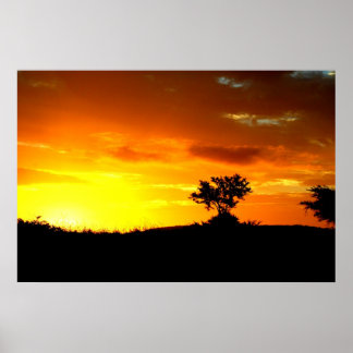 アフリカ眠り ポスター