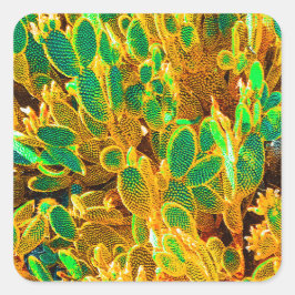 アフリカ砂漠のサボテンの植物とげのある梨 スクエアシール