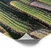 アフリカ砂漠のサボテンの植物とげのある梨 ポスター (角)