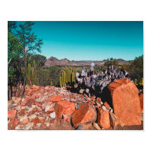 アフリカ砂漠の風景自然サボスプラントポスト