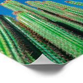 アフリカ砂漠の風景自然サボテン植物 ポスター (角)