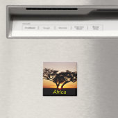 アフリカ磁石 マグネット (インサイチュ (食洗機))