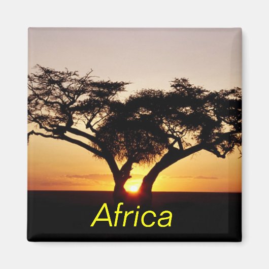 アフリカ磁石 マグネット (正面)