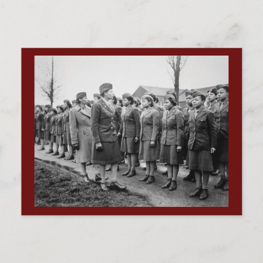 アフリカ系アメリカ人が軍隊を検査 ポストカード (正面)