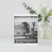 アフリカ系アメリカ人が1862年頃に綿花を作る ポストカード (スタンド正面)