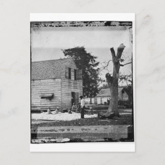 アフリカ系アメリカ人が1862年頃に綿花を作る ポストカード