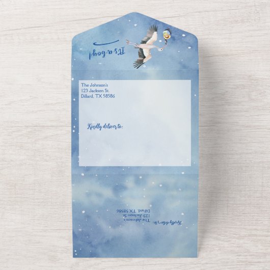 アフリカ系アメリカ人男の赤ちゃんストークインナイトスカイ オールインワン招待状 (外側)