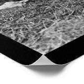 アフリカ系アメリカ人、Kazoosとギター1914 ポスター (角)