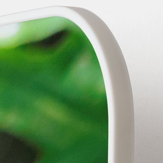 アフリカ素晴らしの素晴らしいスターリングのソングバード ピックルボールラケット (左詳細)