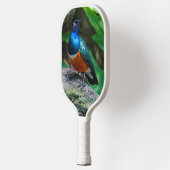 アフリカ素晴らしの素晴らしいスターリングのソングバード ピックルボールラケット (左)