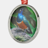 アフリカ素晴らしの素晴らしいスターリングのソングバード メタルオーナメント (左)