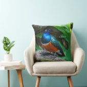 アフリカ素晴らしの素晴らしいスターリングの鳴き鳥 クッション (椅子)