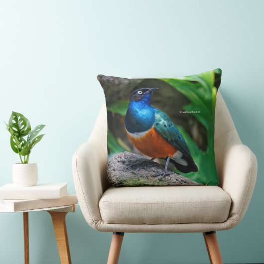 アフリカ素晴らしの素晴らしいスターリングの鳴き鳥 クッション (椅子)