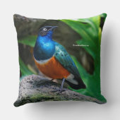 アフリカ素晴らしの素晴らしいスターリングの鳴き鳥 クッション (裏面)