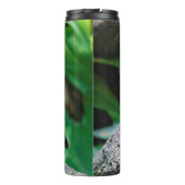 アフリカ素晴らしの素晴らしいスターリングの鳴き鳥 タンブラー (裏面)