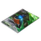 アフリカ素晴らしの素晴らしいスターリングの鳴き鳥 ノートブック (左側)