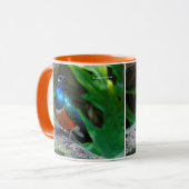 アフリカ素晴らしの素晴らしいスターリングの鳴き鳥 マグカップ (正面左)