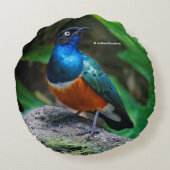 アフリカ素晴らしの素晴らしいスターリング ラウンドクッション (裏面)