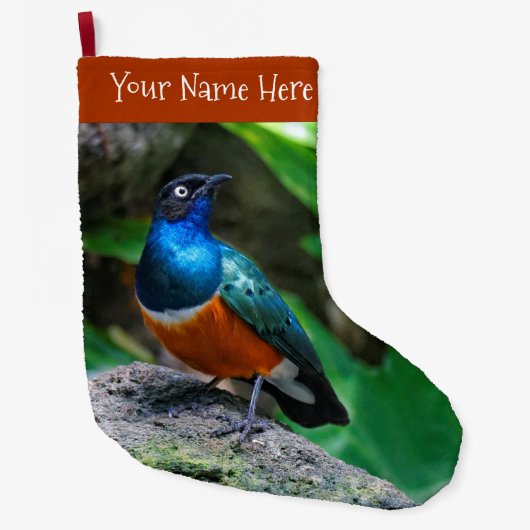 アフリカ素晴らしカラフルの優れたスターリングのソングバード ラージクリスマスストッキング (正面)