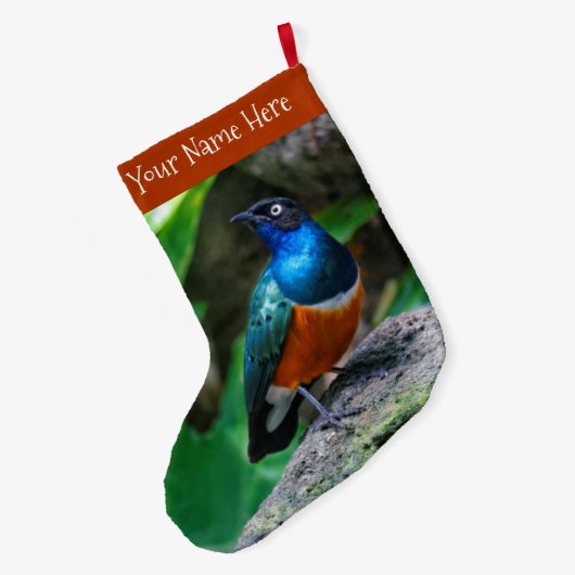 アフリカ素晴らしカラフルの優れたスターリングのソングバード ラージクリスマスストッキング (裏面 (吊り時))
