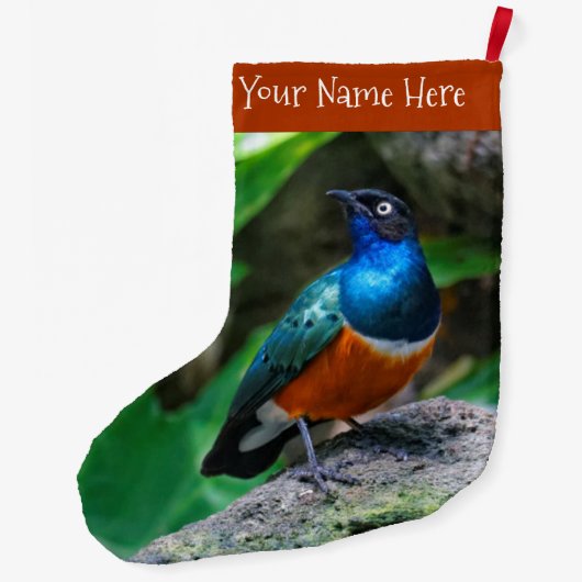 アフリカ素晴らしカラフルの優れたスターリングのソングバード ラージクリスマスストッキング (裏面)