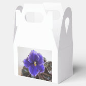 アフリカ紫の花 フェイバーボックス (オープン)