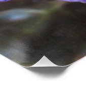 アフリカ紫の花 ポスター (コーナー)