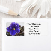 アフリカ紫の花 ラベル (インサイチュ)