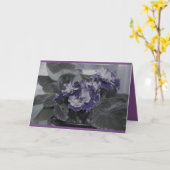 アフリカ紫の誕生日 カード (黄色い花)