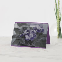 アフリカ紫の誕生日