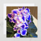 アフリカ紫ブルー 招待状 (正面/裏面)