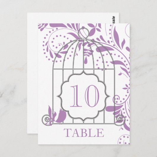 アフリカ紫結婚紫の表番号 ポストカード (正面/裏面)