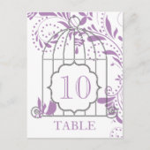 アフリカ紫結婚紫の表番号 ポストカード (正面)