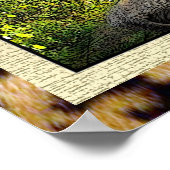 アフリカ美しいポスター ポスター (角)