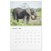 アフリカ美しい カレンダー (2月 2026)