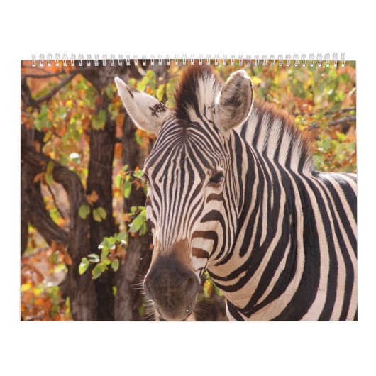 アフリカ美しい カレンダー (カバー)