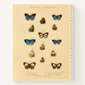 アフリカ蝶ハードカバースパイラルスケッチブック ノートブック (裏面)