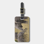 アフリカ象が畑で放牧 ラゲッジタグ (正面縦)