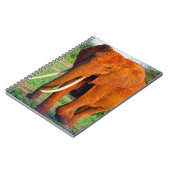 アフリカ象の大人写真 ノートブック (左側)