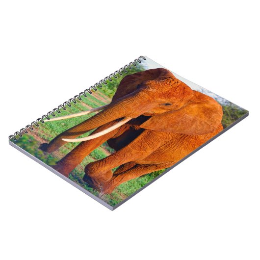 アフリカ象の大人写真 ノートブック (左側)