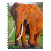 アフリカ象の大人写真 ノートブック (正面)