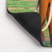 アフリカ象の大人写真 マウスパッド (コーナー)