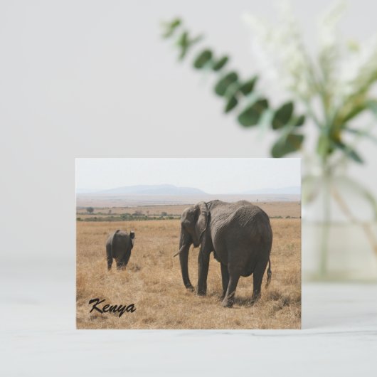 アフリカ象の母親 ポストカード (スタンド正面)