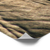 アフリカ象の目のクローズアップ写真 ポスター (角)